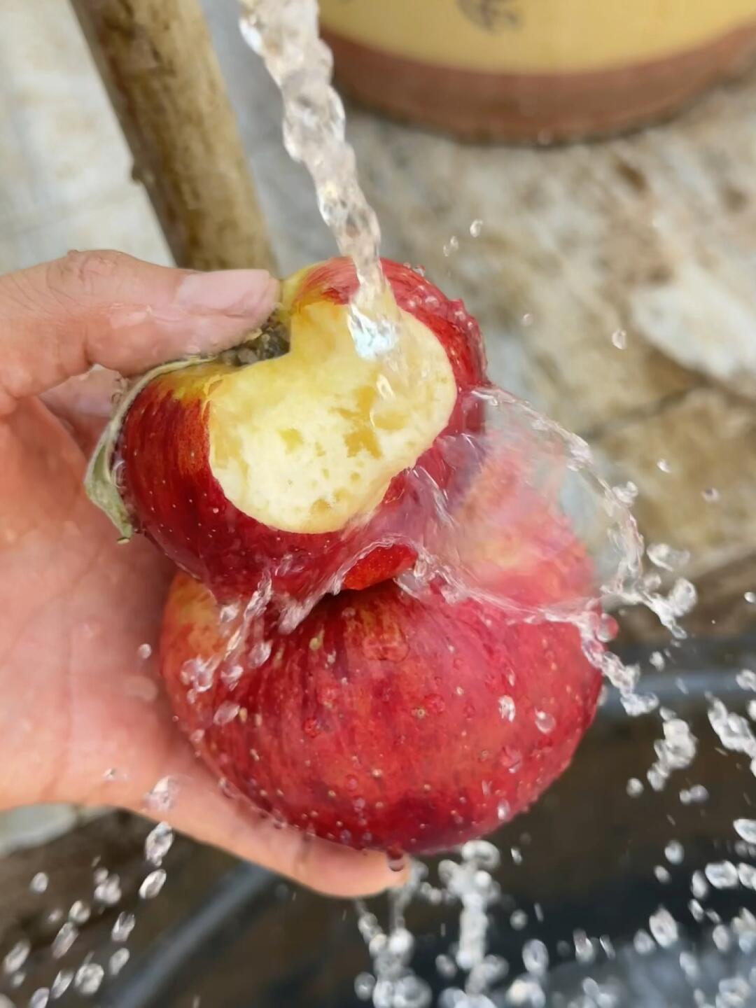 🍎 云南高山苹果｜一口咬住秋天的甜蜜惊喜！