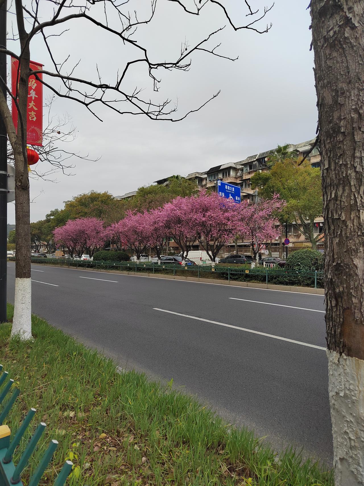 桃花春色暖先开,
明媚谁人不看来。
可惜狂风吹落后,
殷红片片点莓苔。