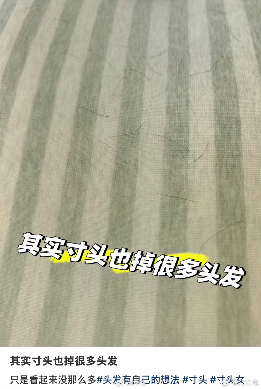 原来寸头也会掉很多头发，所以我平衡了，留长发留短发跟脱发没关系。该脱都得脱。