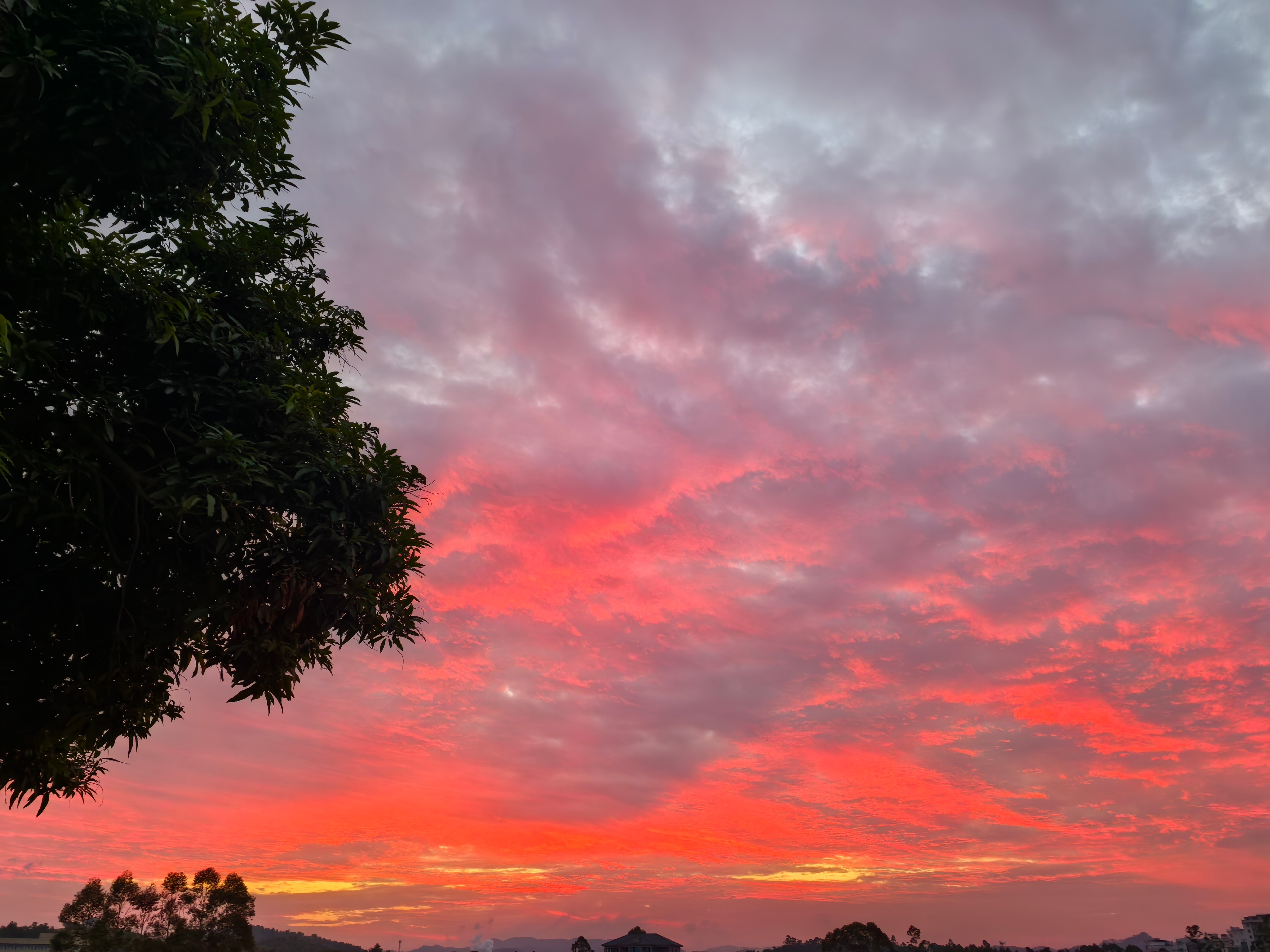 生活手记早☀分享朝霞🌅(不知道为什么刚拍完一下子它就就没了) 