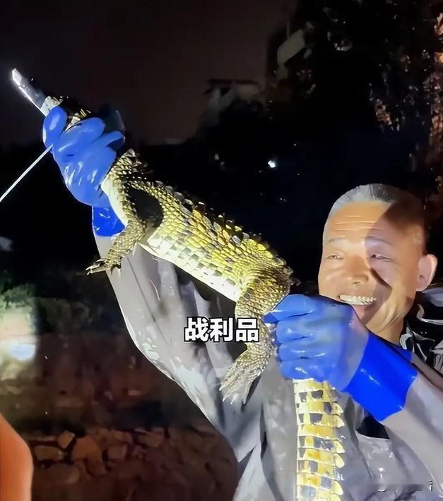 事情不能仅止于鳄鱼被抓到，来源厘清更重要！近日，天津西青区一居民小区人工湖里发现