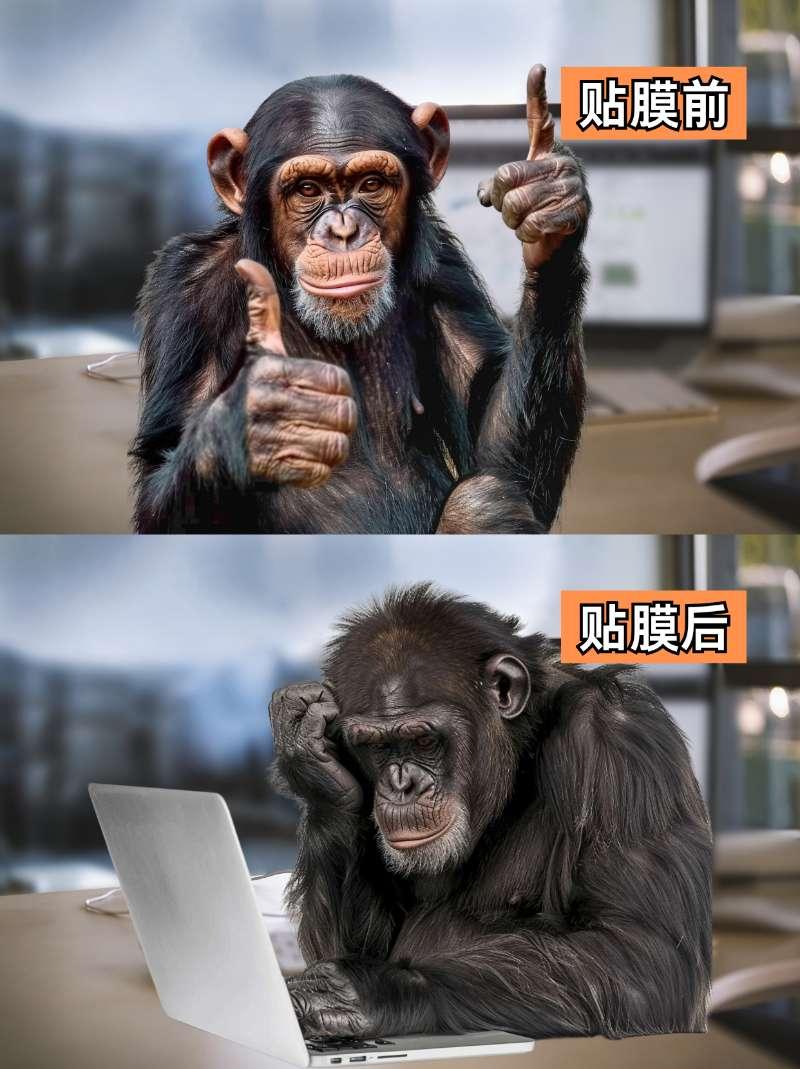 【来自懂车帝车友圈】