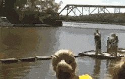 伊朗 别人研究战争规律、分析军力数据时，他们在刷段子、造梗图，在狂欢中麻醉自己；