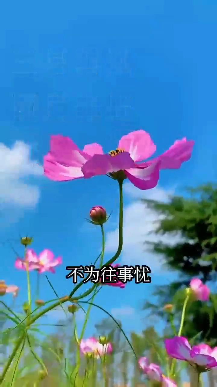 三月再见，四月你好。不为往事忧，只愿余生笑。又到了人间最美四月天，愿你不负时光，