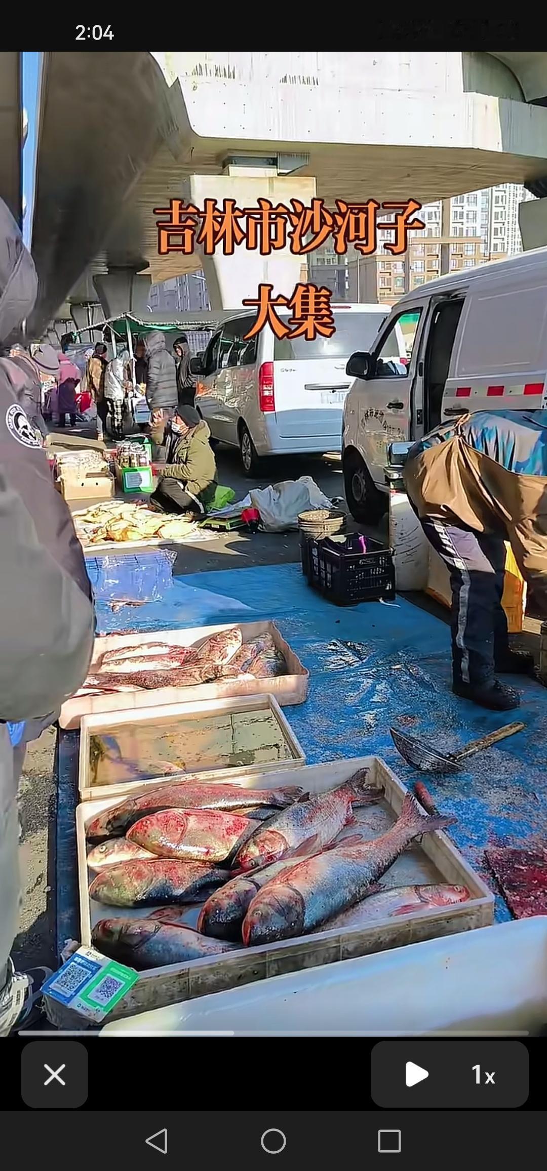 吉林市沙河子大集人气爆棚，热闹非凡，看来这新地点选对了！
昨天是周二，也是沙河子