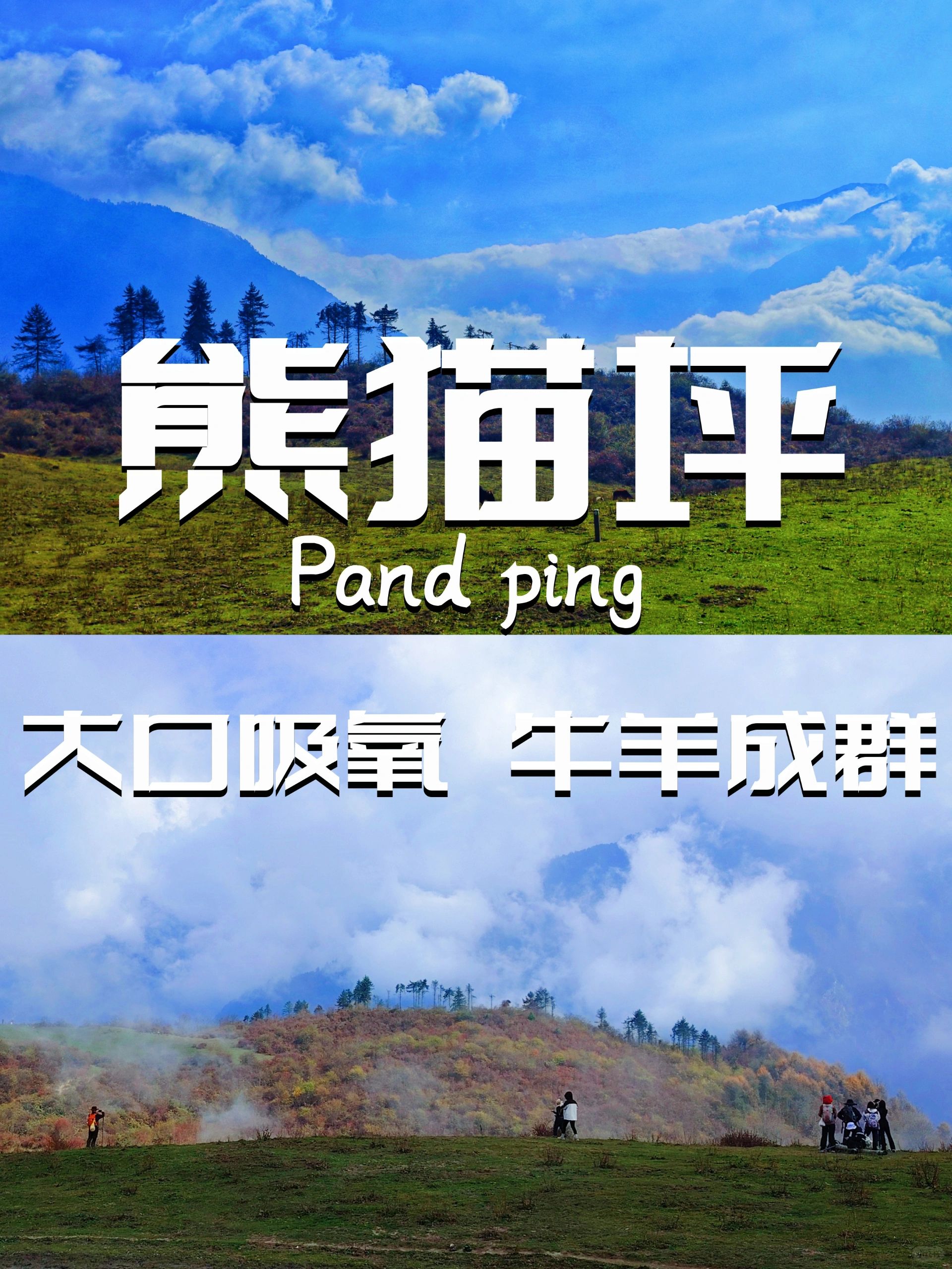 熊猫坪｜这里有你向往的诗和远方