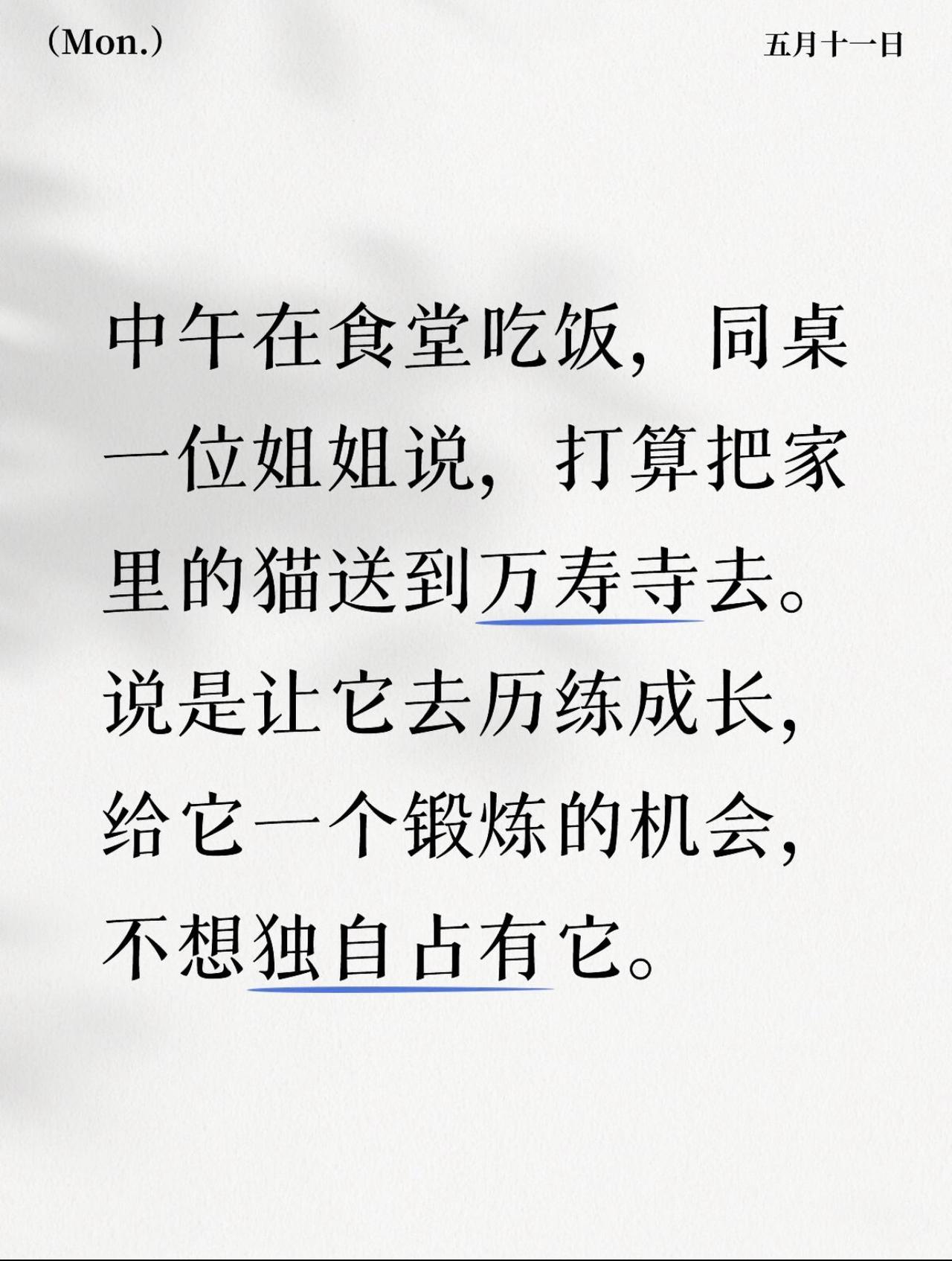 中午在食堂吃饭，同桌一位姐姐说，打算把家里的猫送到万寿寺去。说是让它去历练成长，