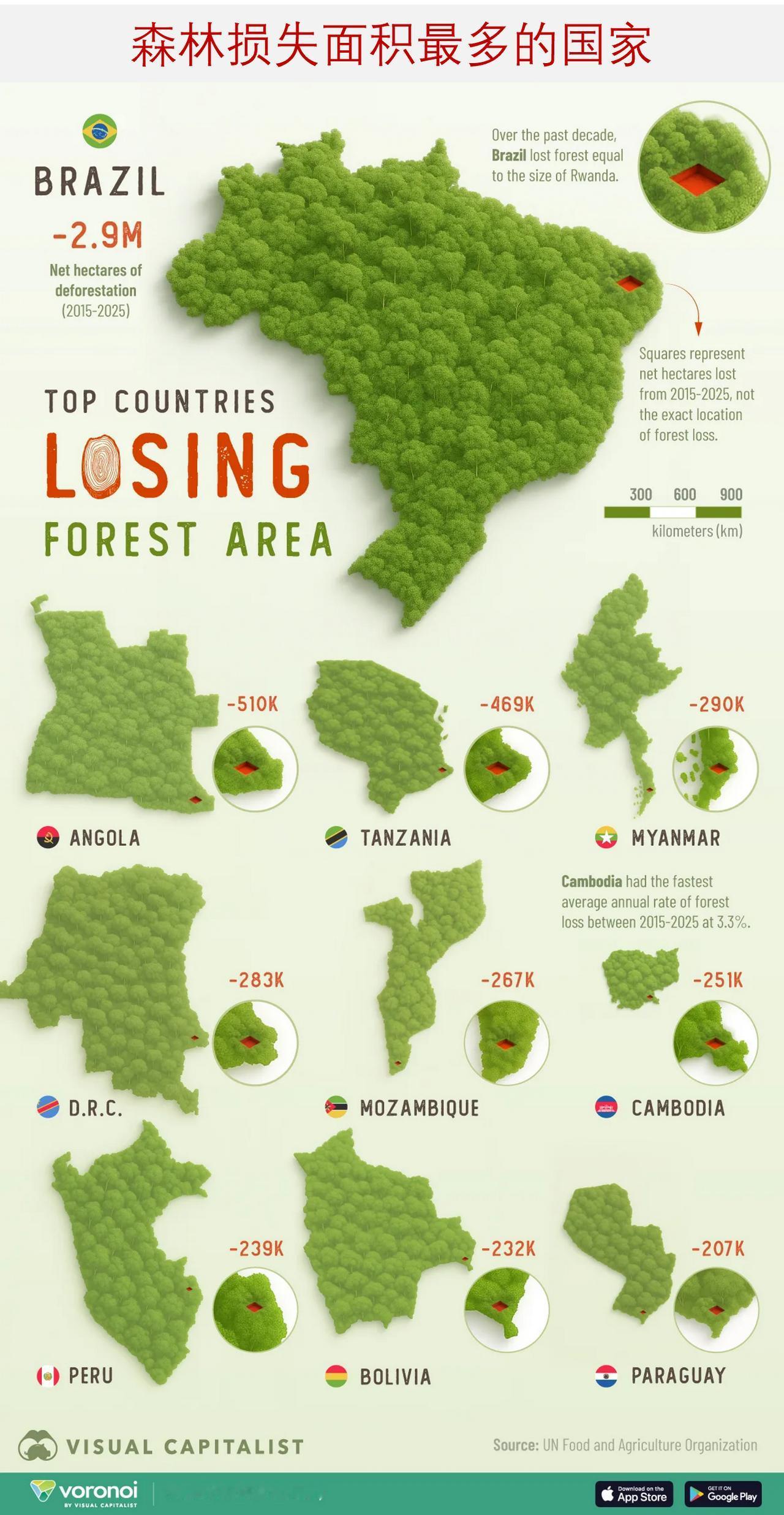 盘点全球森林损失最高的国家，巴西的森林损失位居首位

自 2015 年以来，全球
