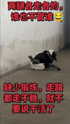 我硬是看了十遍！能长这么大真不容易！

知道这时候笑有点不太礼貌……但是的确没忍