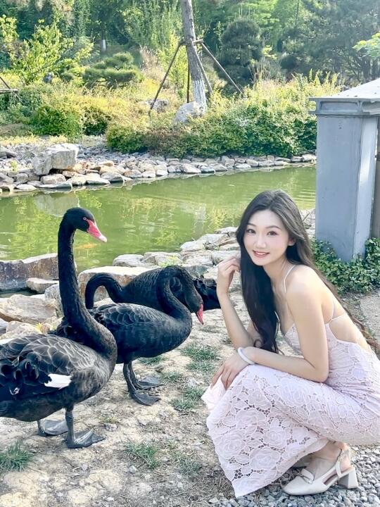 嘿𝚂𝚠𝚊𝚗🦢