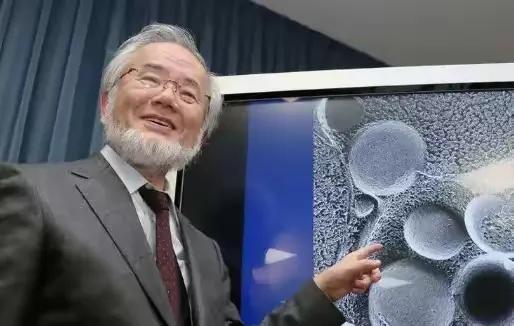 日本生物学家大隅良典发现，人一但挨饿，身体就会把坏掉的细胞都 "吃掉"，自己给自
