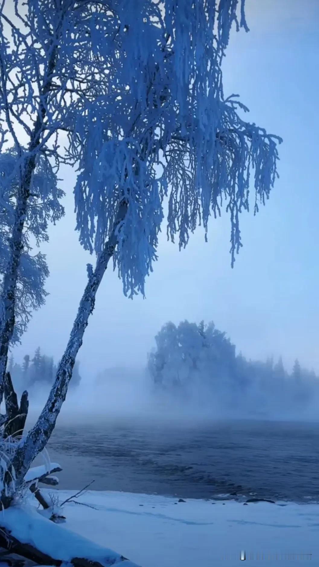 雪花飘飞，冰天雪地一片银装素裹。雾凇云雾妖娆 冬雪淞影 芦古丁黄梅雪后 雨中暮雪