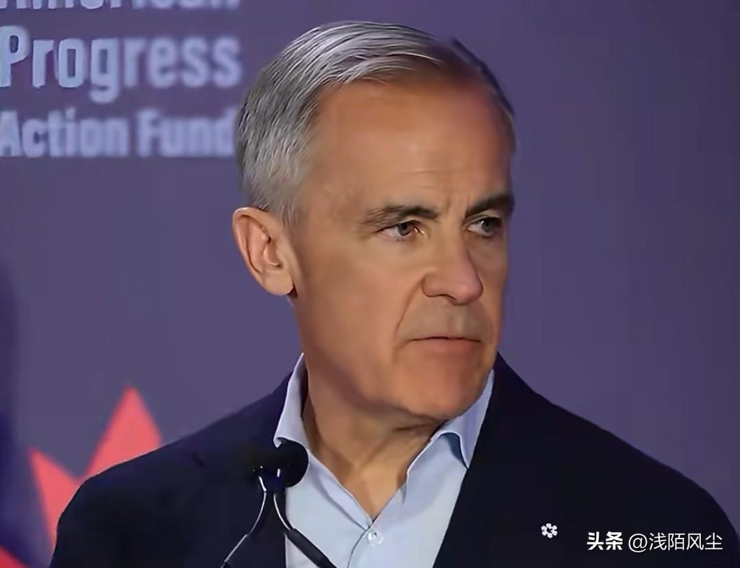 加拿大总理卡尼:“降低加拿大人日常开销三步走——建可负担住房（建设速度提高一倍）