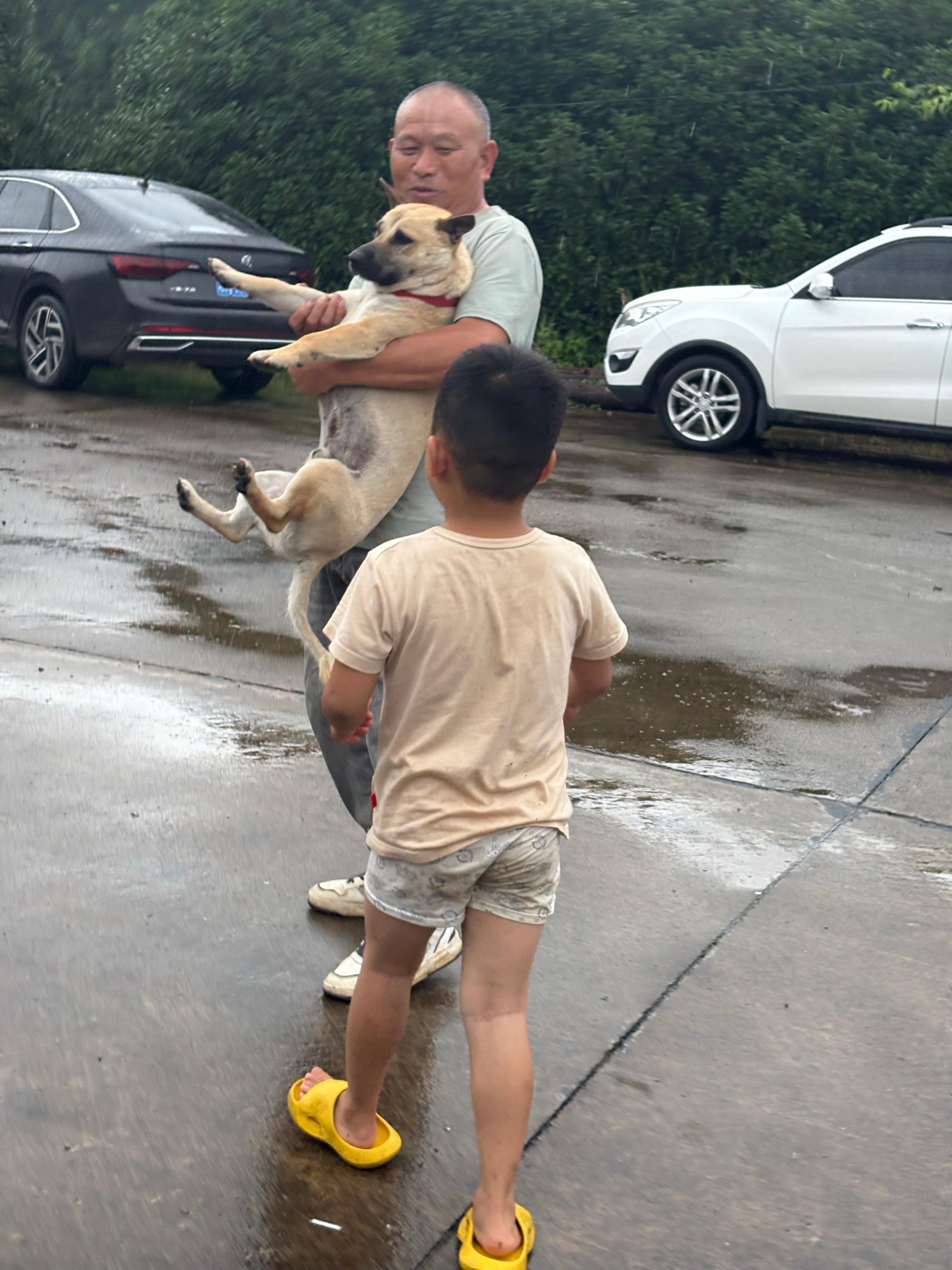 小钱回家啦 