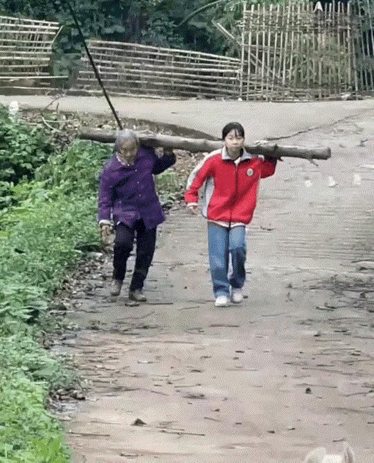 万万没想到，奶奶和孙女扛着一大木柴，脚步沉重的往家里走，这家中狗子见到奶孙俩后，