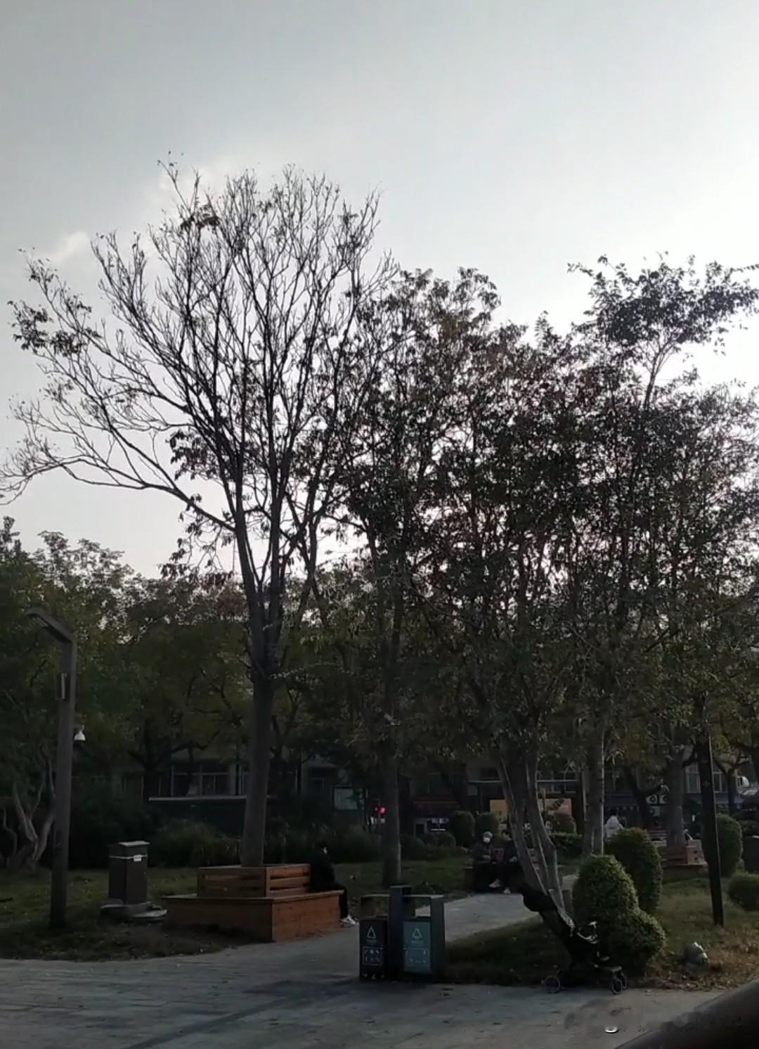 你会在意别人没有回复你的微信吗处在中年的我，很多视频都看淡了。人际关系也淡了，一