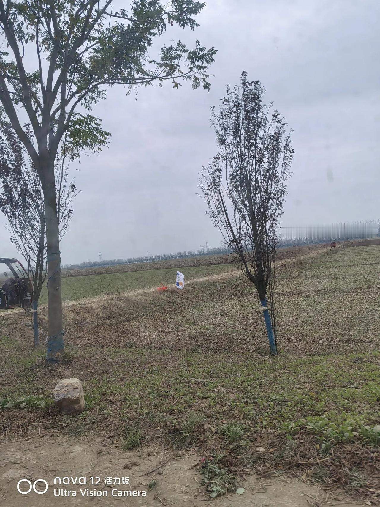 为什么人们常说家有一老如有一宝因为老人人生经历和社会经验丰富，我家就有90多岁的