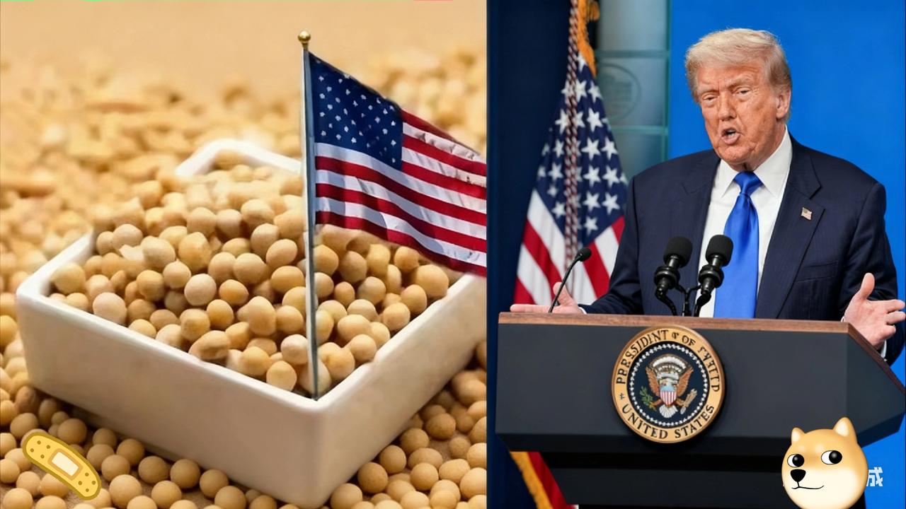 快讯！快讯！
美国农业部宣布
11月4日，美国农业部网站数据宣布：美国大豆出口量