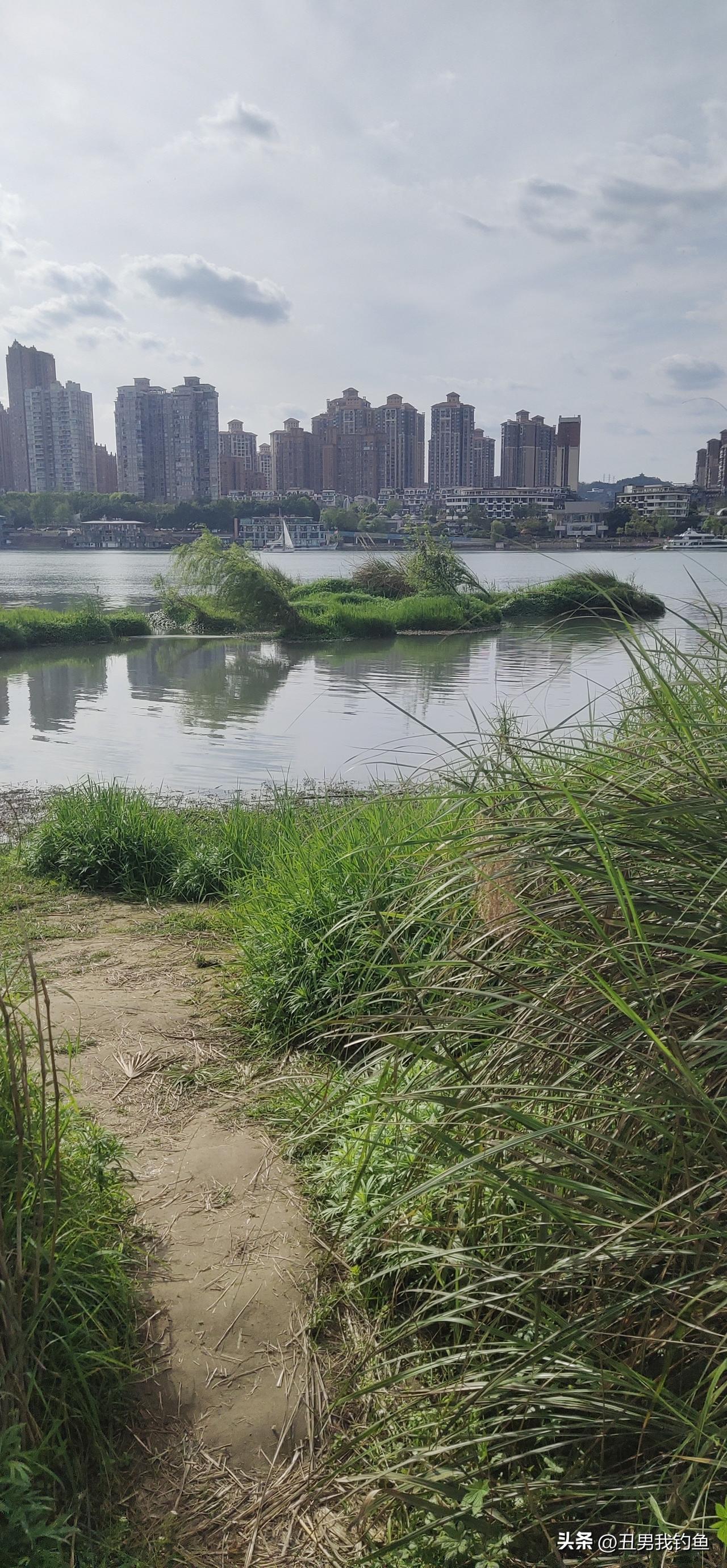 每年的春天，这里产卵的鱼比较多，作为一个钓鱼人，还是希望那些人，手下留情，不要打