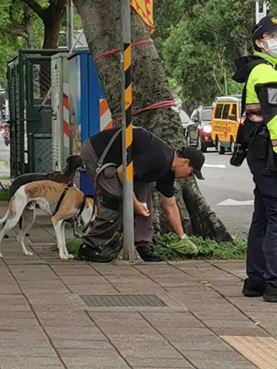 有网友拍到彭于晏遛狗的全程 ，而且他十分有公德心，还在树底下捡狗屎。画面中的彭于
