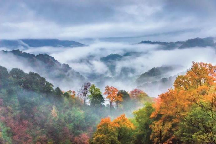 “  秋入云山，物情潇洒 …  ”  