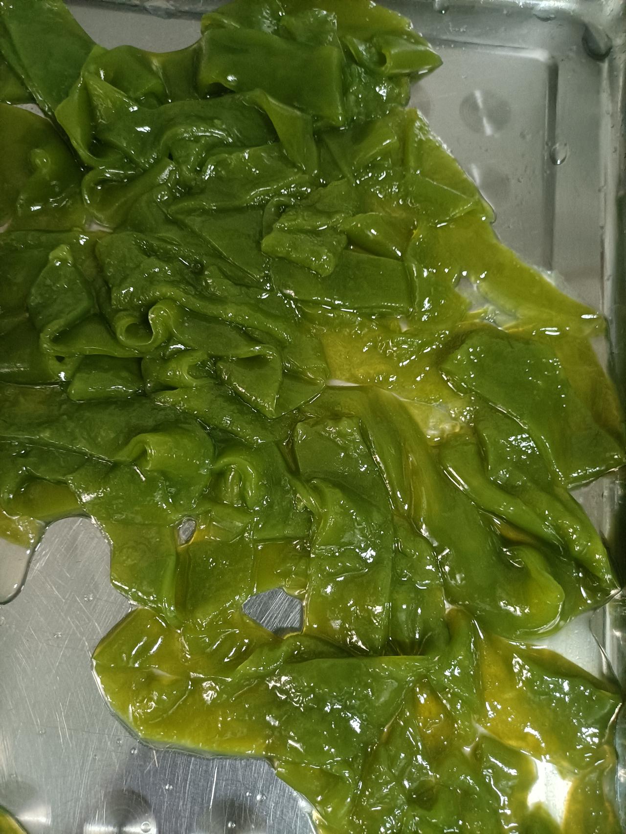 【春之韵·人生中第一次享受桑叶美食】今年春天最想实现的心愿

人生中第一次
享受