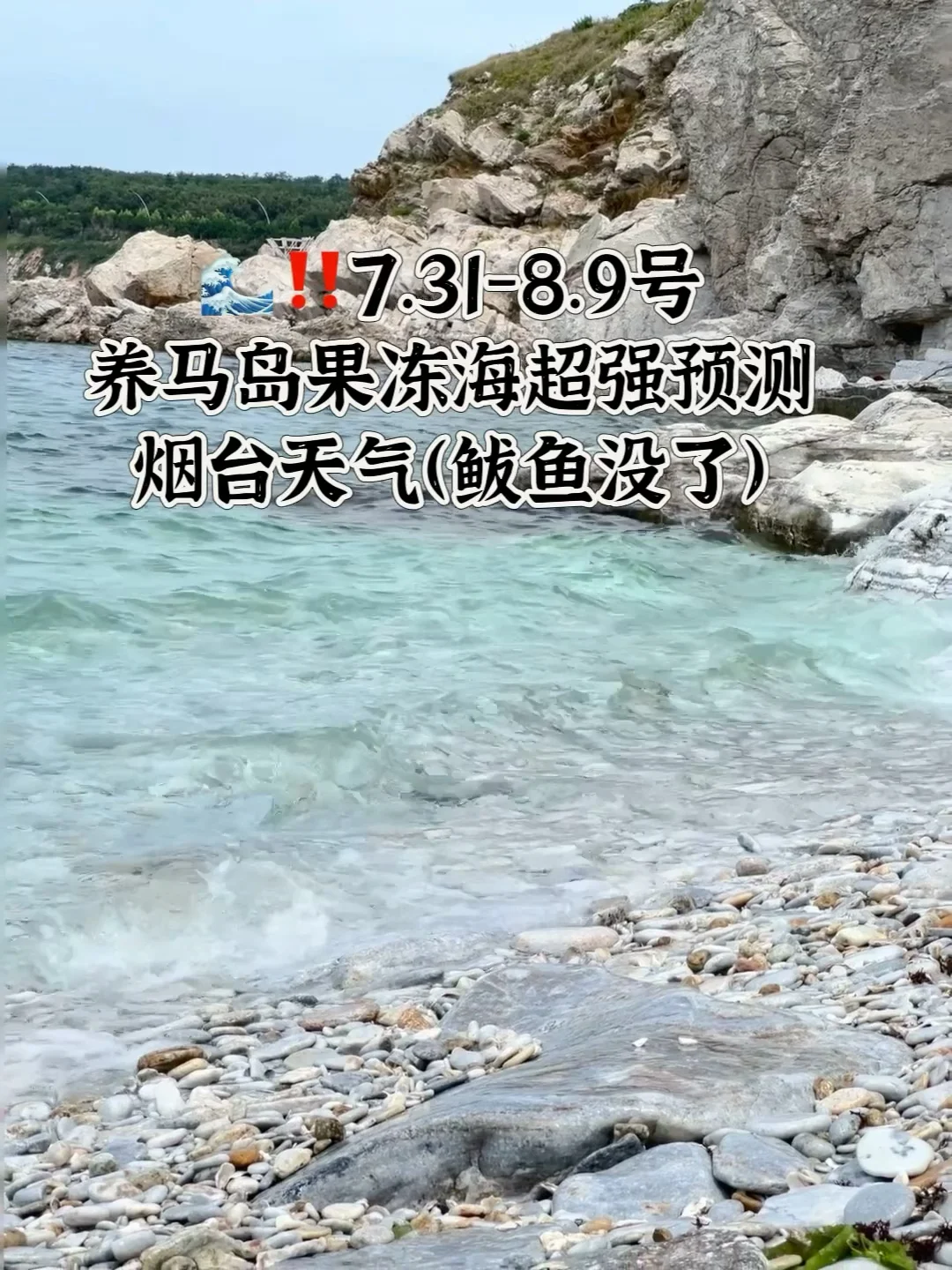 📍7.31-8.9号烟台养马岛果冻海超强预测