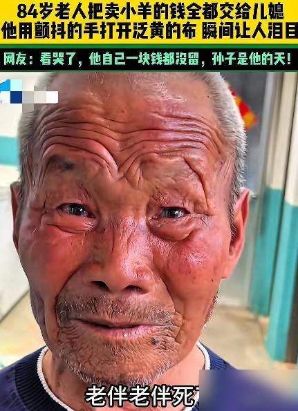 让人泪目了！山东，84岁老人卖了家里的羊，一分钱省不得花，全部交给了儿媳，儿媳不