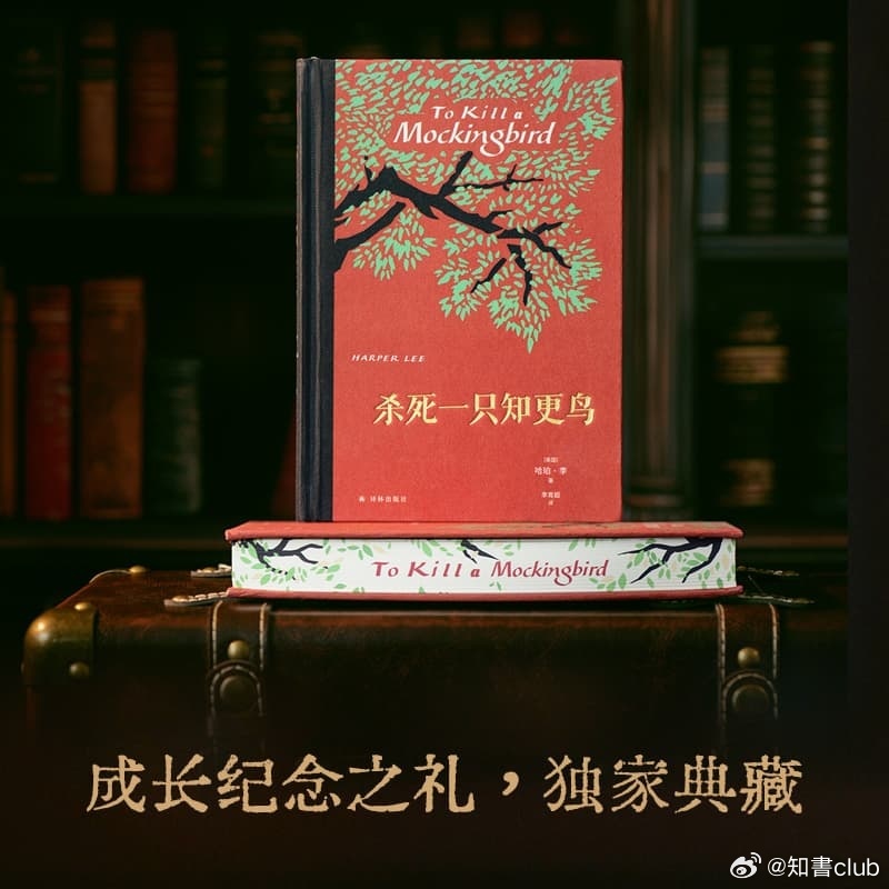 文学汇 文萃丨小时候，我和杰姆把活动范围圈定在街区南面那块地方，但是等我上了二年
