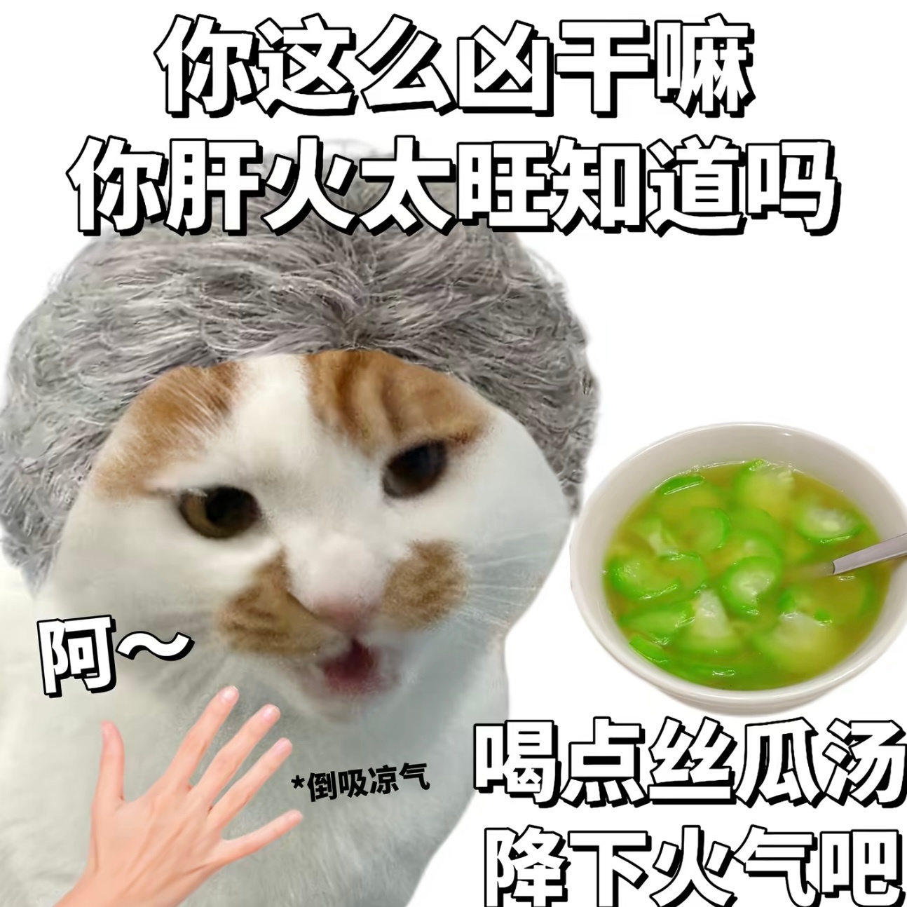 生活请喝丝瓜汤 友，你今天被问喝汤了吗？ ​​​