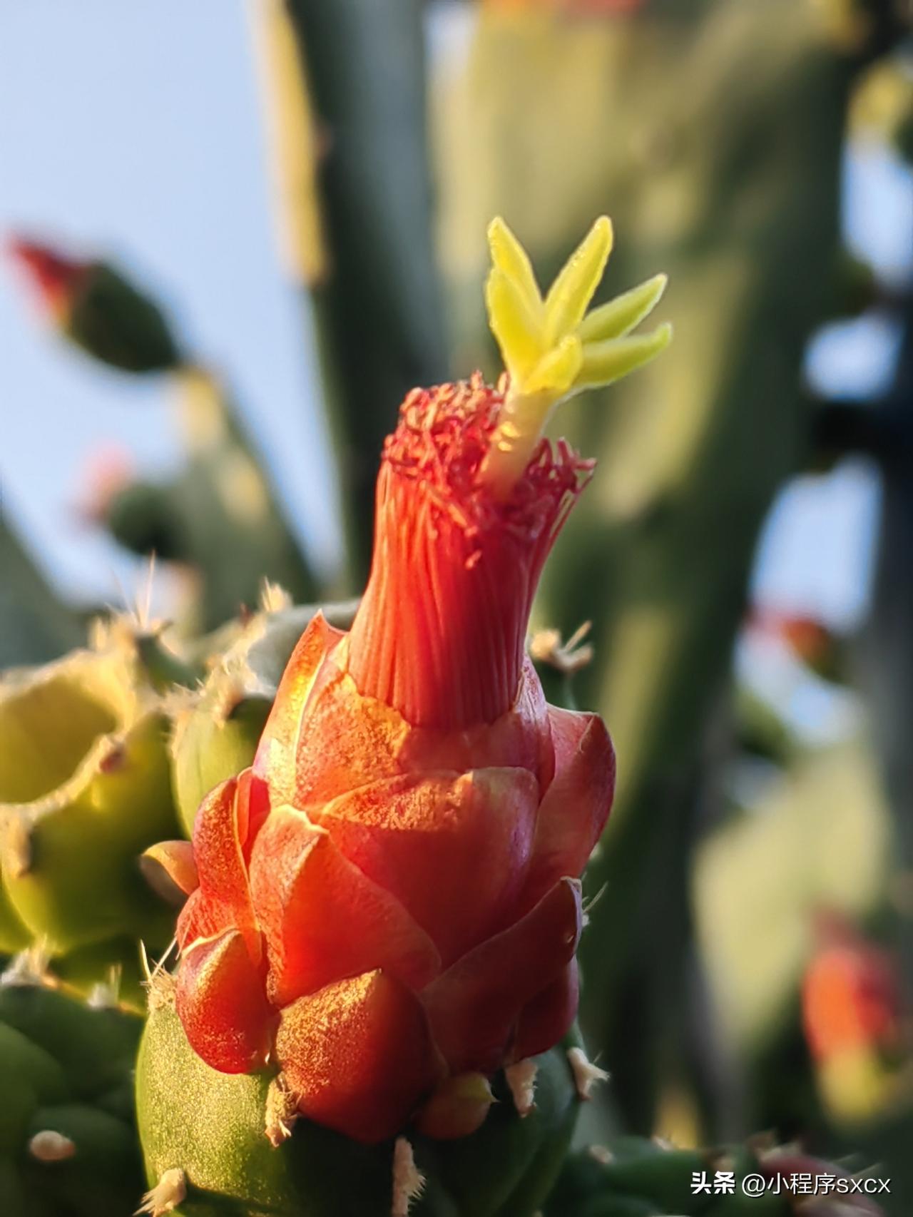 “美以伊”爆发战争，伊朗的反击可谓“遍地开花”，顺带还对王爷国的美军基地发起了攻