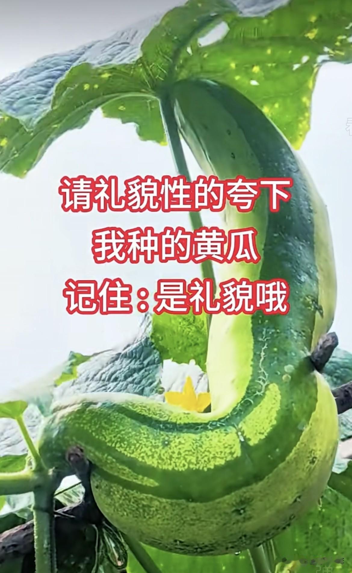 上句：春夏秋冬四季下雨
下句：酸甜苦辣百般回味