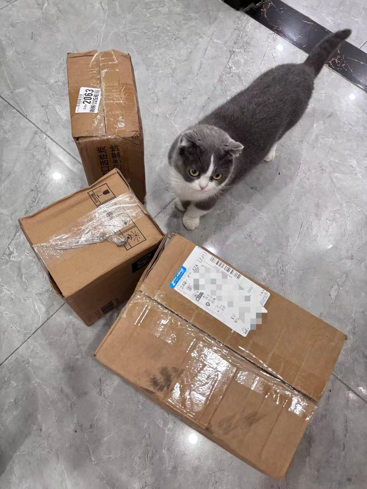20 斤猫砂给我累死了🥲每次买猫砂都要买 10 斤以上搬两趟累死俺了 