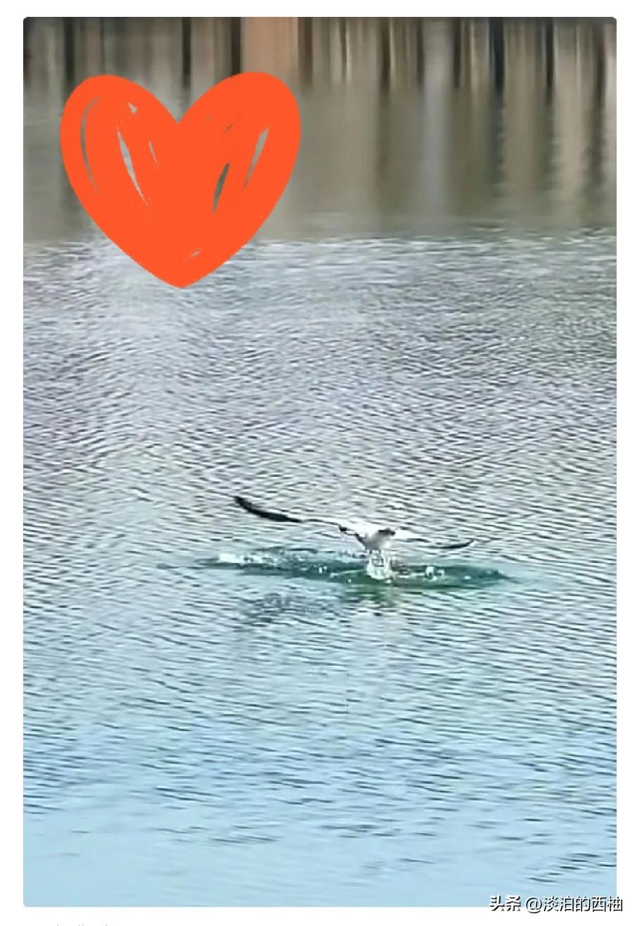 代谢最好的运动：

想提高代谢不用瞎折腾，这几款运动亲测有效，从轻松的居家小动作