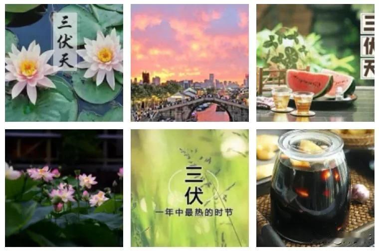 #打油嵌字诗分享#【清平乐·火热之夏】
文/风鸽（张晓峰）
一
伏天炎热，空调如