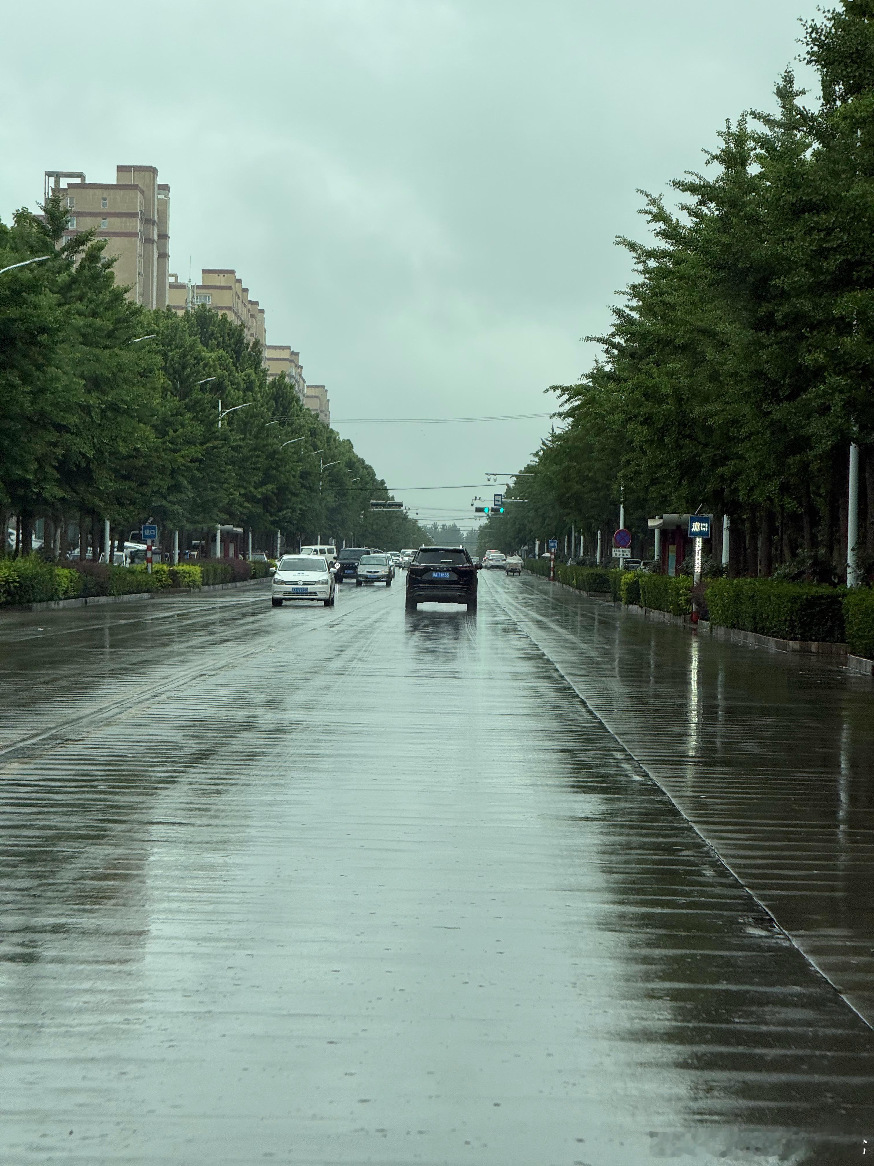 你的城市也在下雨吗？🌧️ 