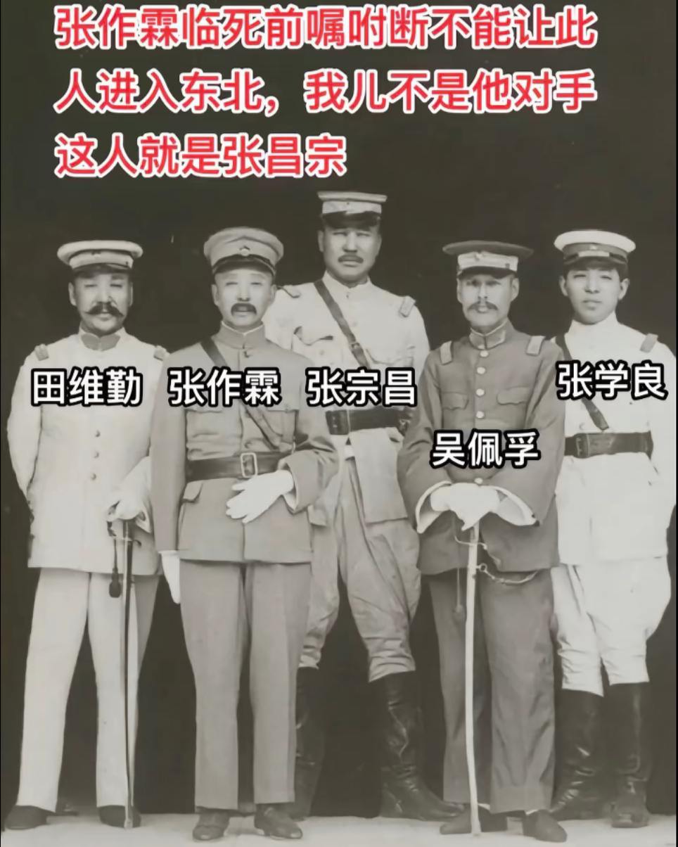 少帅不是张宗昌对手吗？