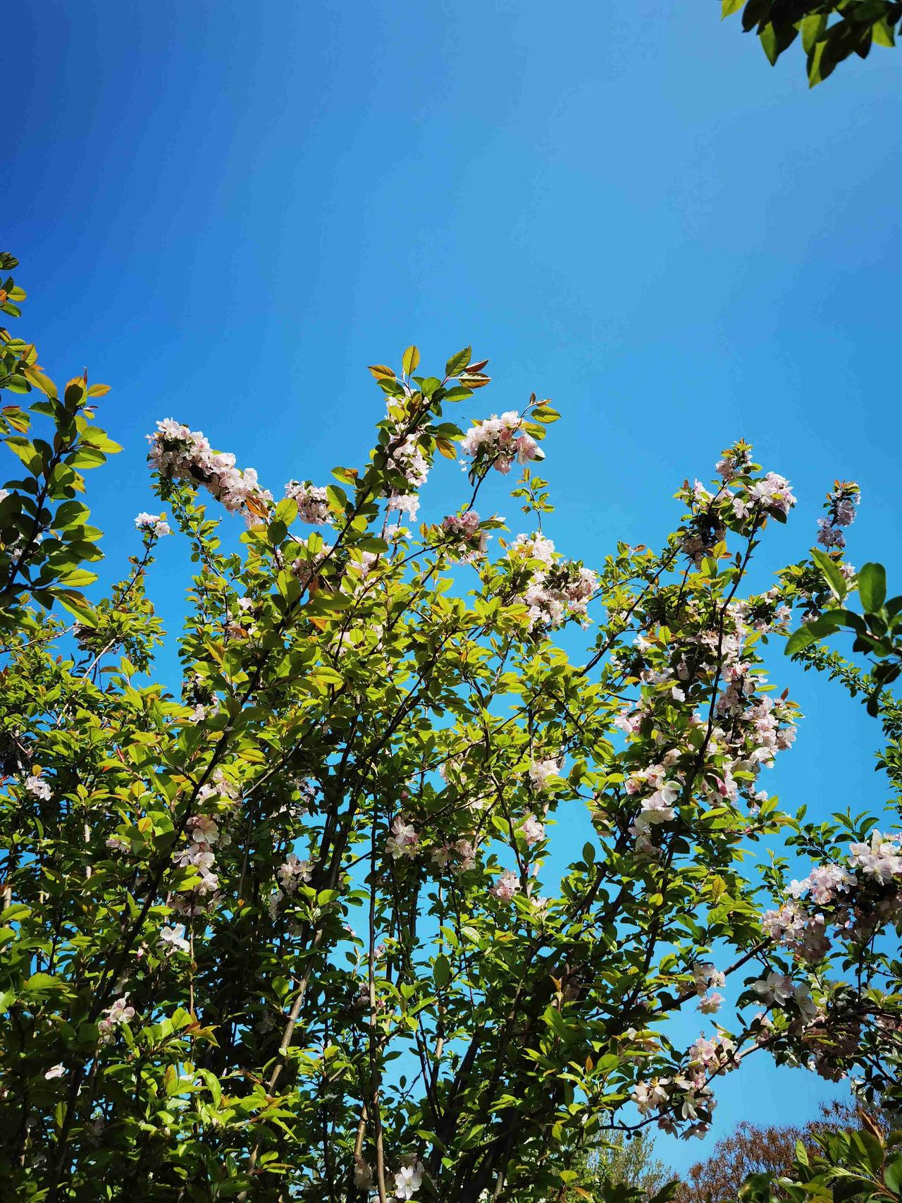 我的今日状态：😁轻松愉快
我这里的天气：☀️晴天
