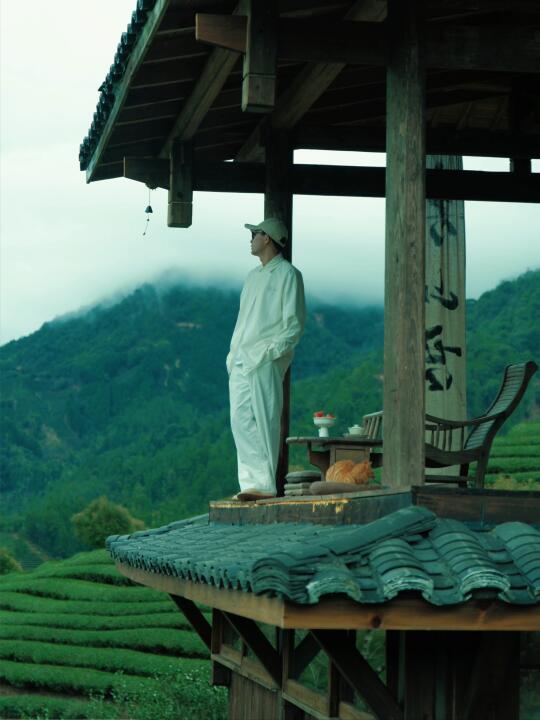 隐入茶山，偷得半日鹤影闲