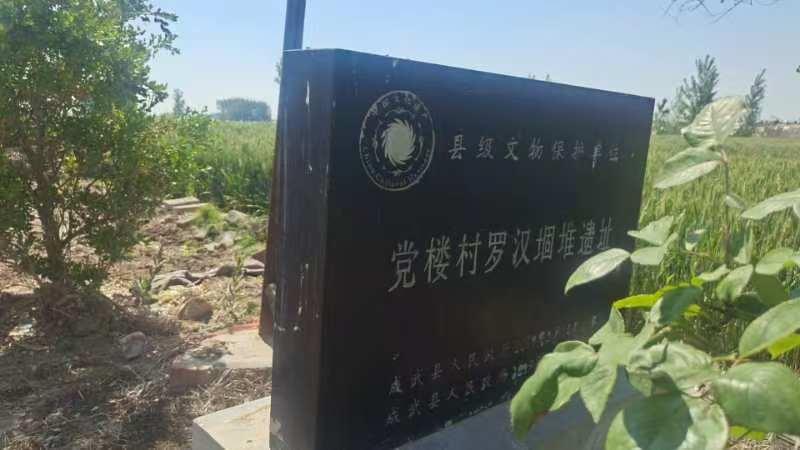 党楼村罗汉堌堆遗址：一方堌堆，半部郜城史
 
在成武县汶上集镇党楼村的田野之间，