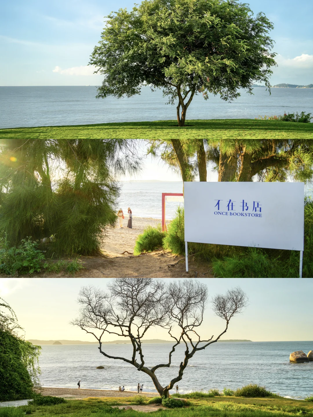 厦门Seawalk漫游指南（29路环海公交版