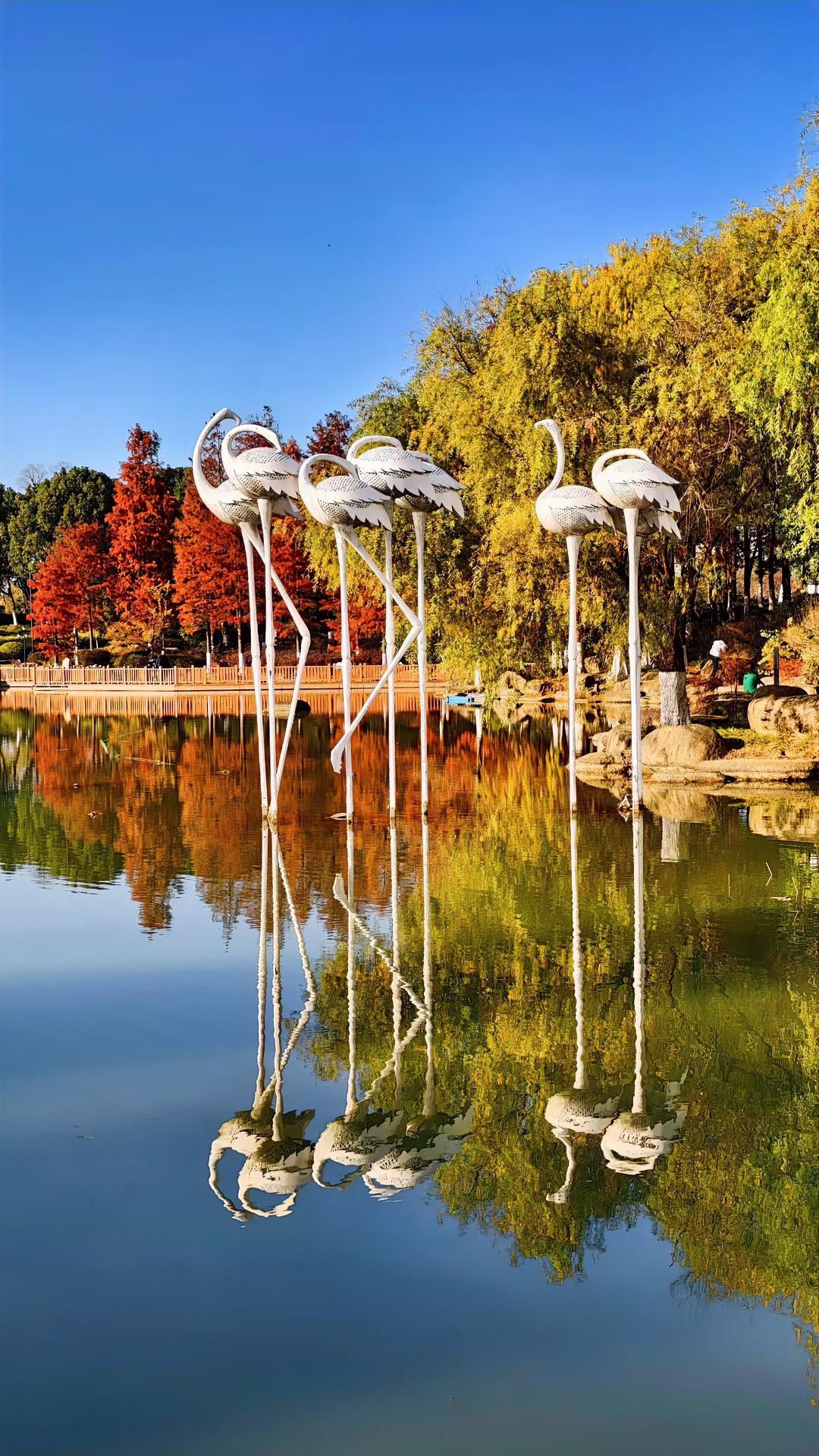 人到中年才懂
过的是心情
活的是心态

心情好
日子就晴朗
人也显年轻
心无牵挂