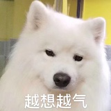 莓桐爱玩科技