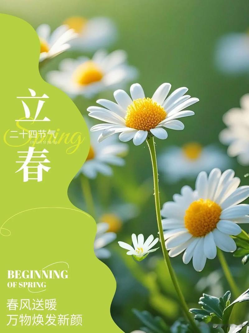 - 秋季（立秋-霜降）
- 核心：滋阴润肺、收敛神气
- 作息：早睡早起，顺应秋