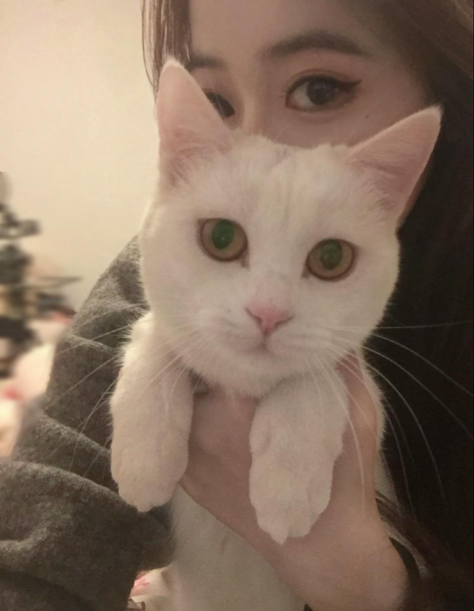 是我更需要小猫呢