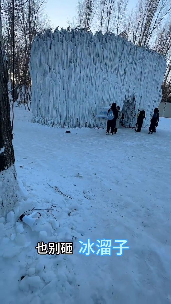 请大家别掰冰溜子，也别砸冰溜子，这些冰溜子浇出来老费劲了，万一再砸着你还挺疼的，