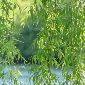 相信梦想是价值的源泉，相信眼光决定未来的一切，相信成功的信念比成功本身更重要，相