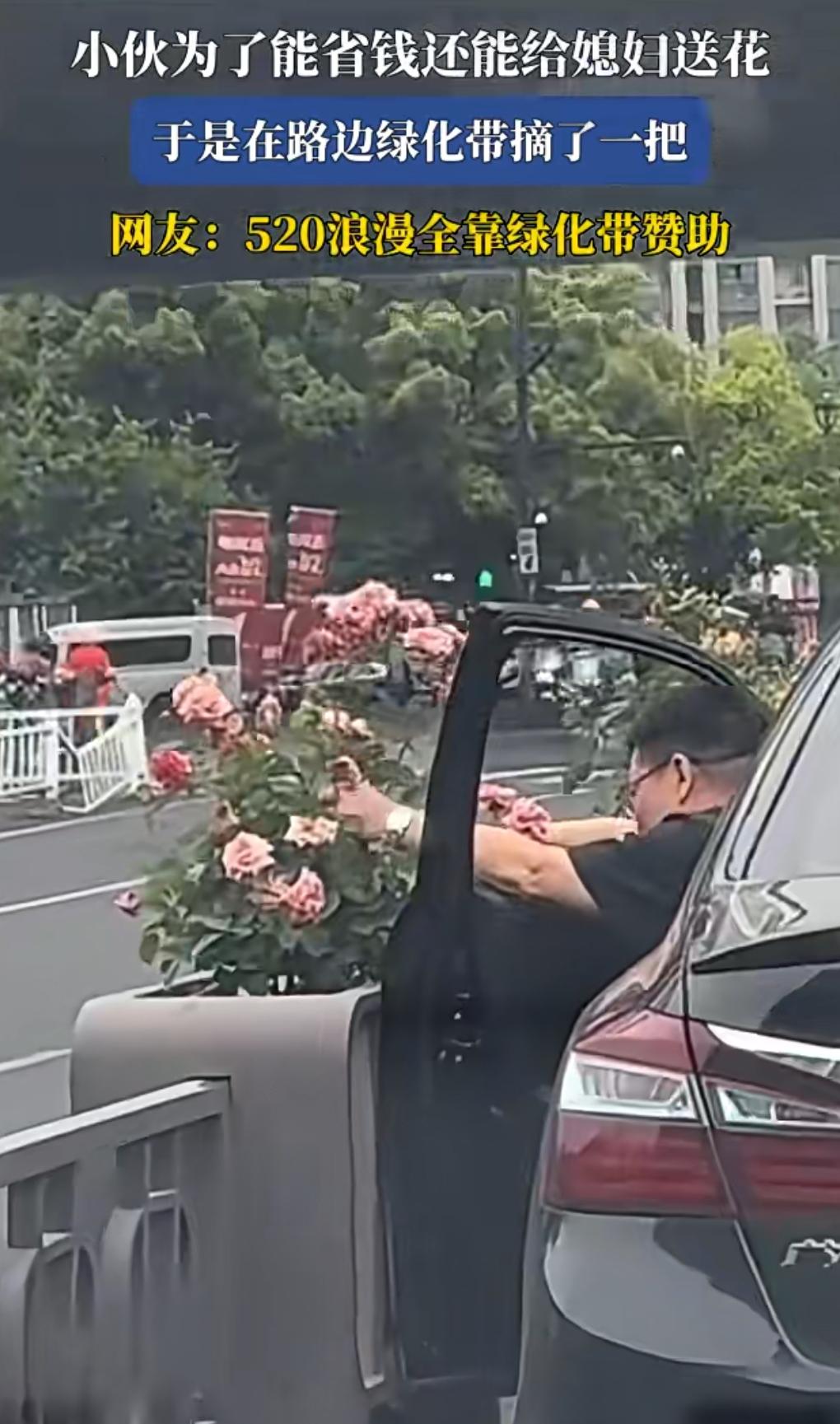 这也太抠了吧，竟然采绿化带里的花送给老婆，520是用来表达爱意的，要是让老婆看到