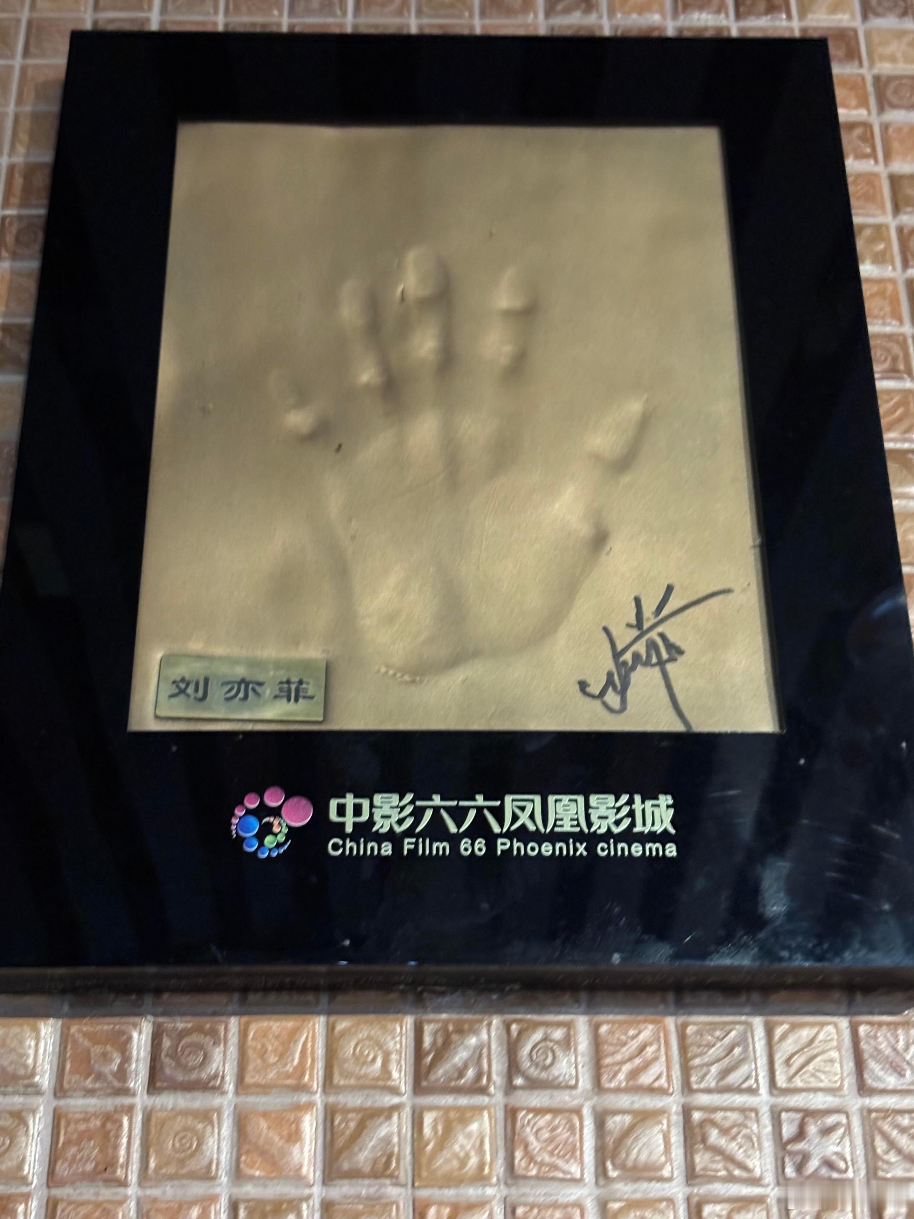 啊？第一次见唉，真是真的吗？ ​​​