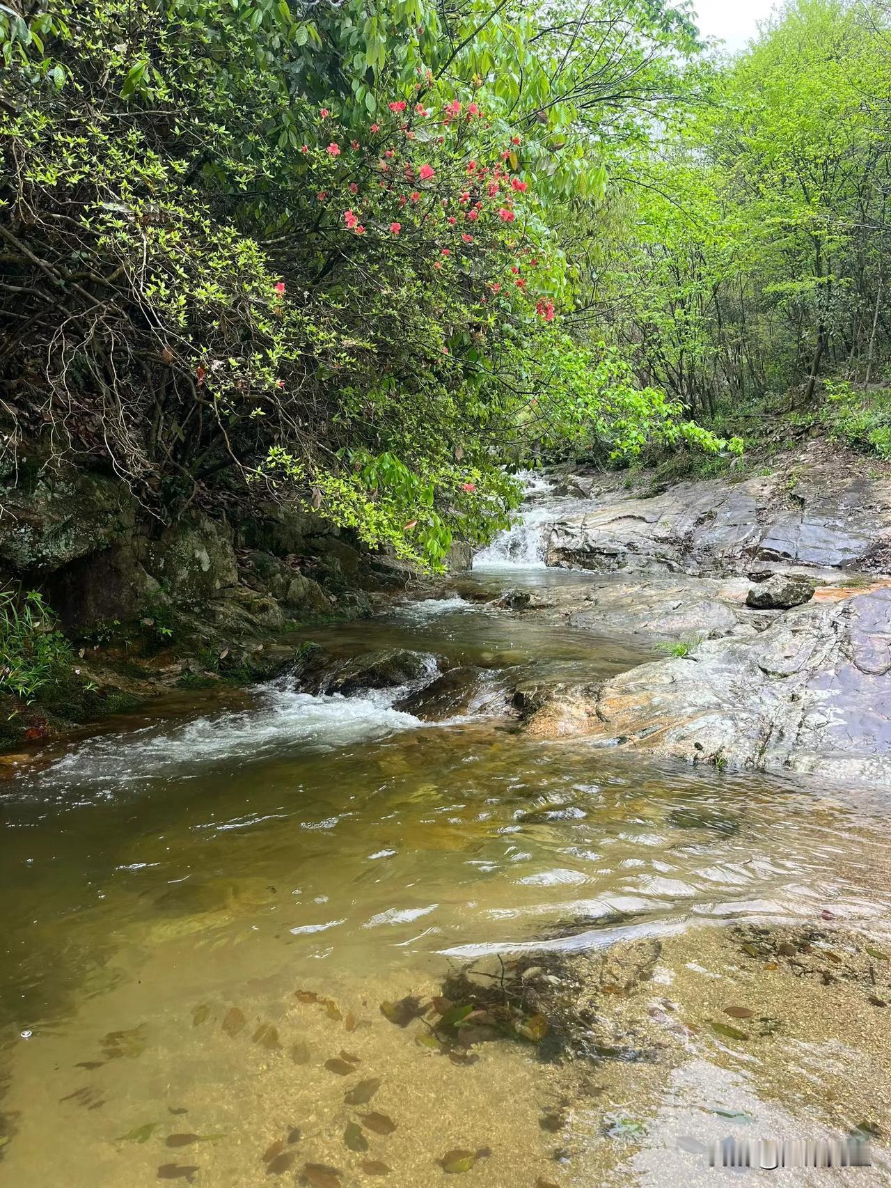 晒图笔记大赛春山沐雨，涧水长流。在向阳谷的山水间，与自然对话，与自己相处。做葛根
